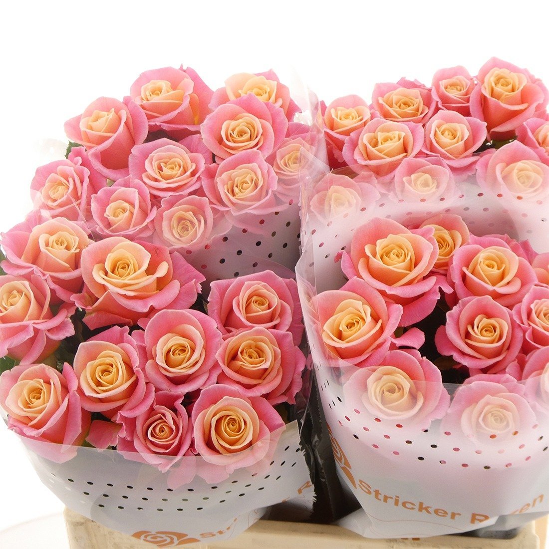 rozen