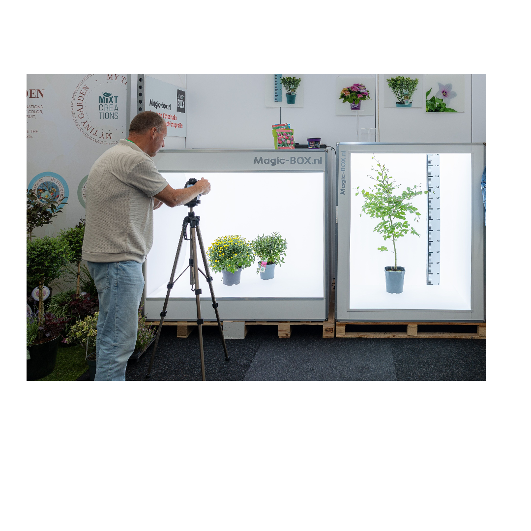 Produktfotografie: Blumen und Pflanzen Produktfotografie: Blumen und Pflanzen