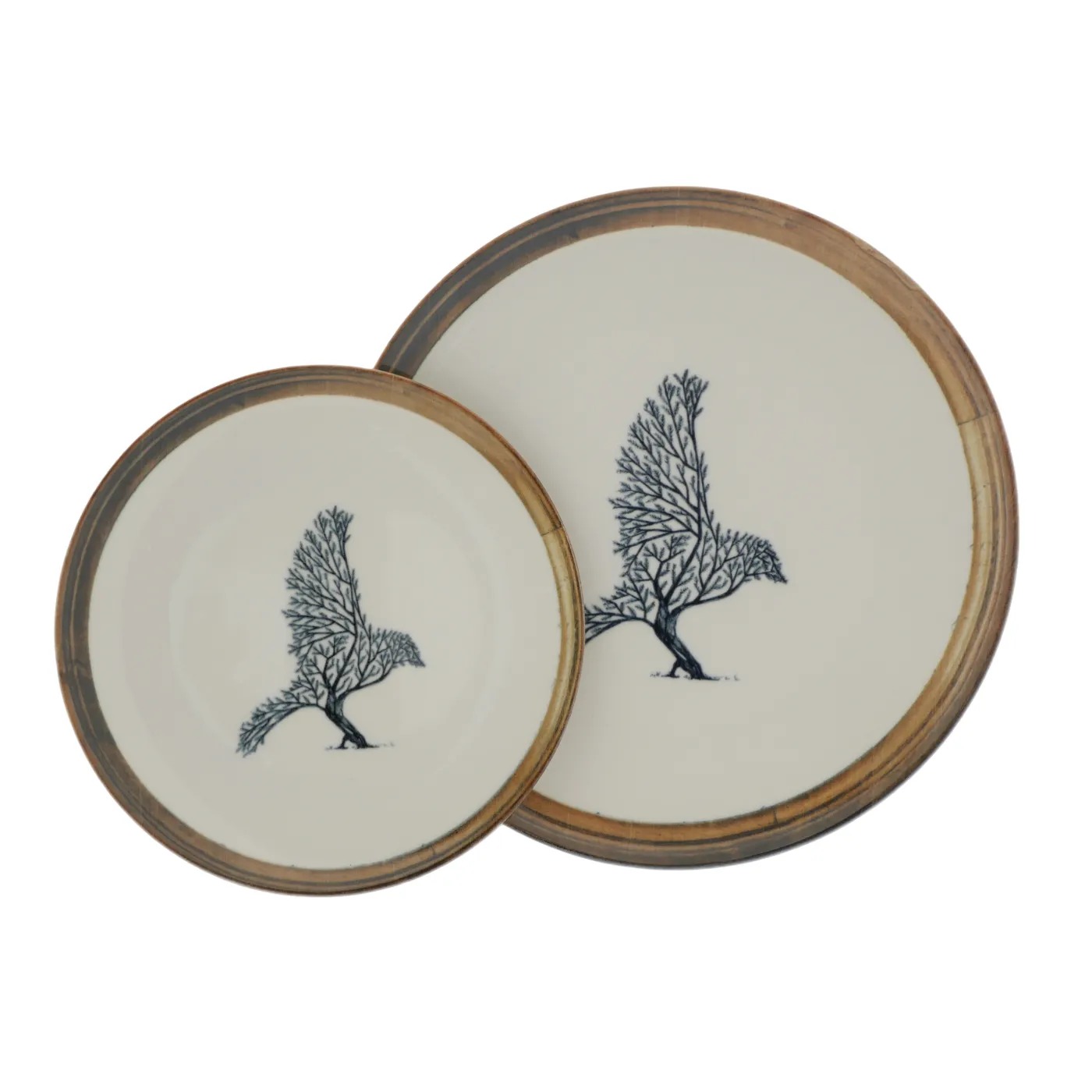 Product Photography: Home & Decoration